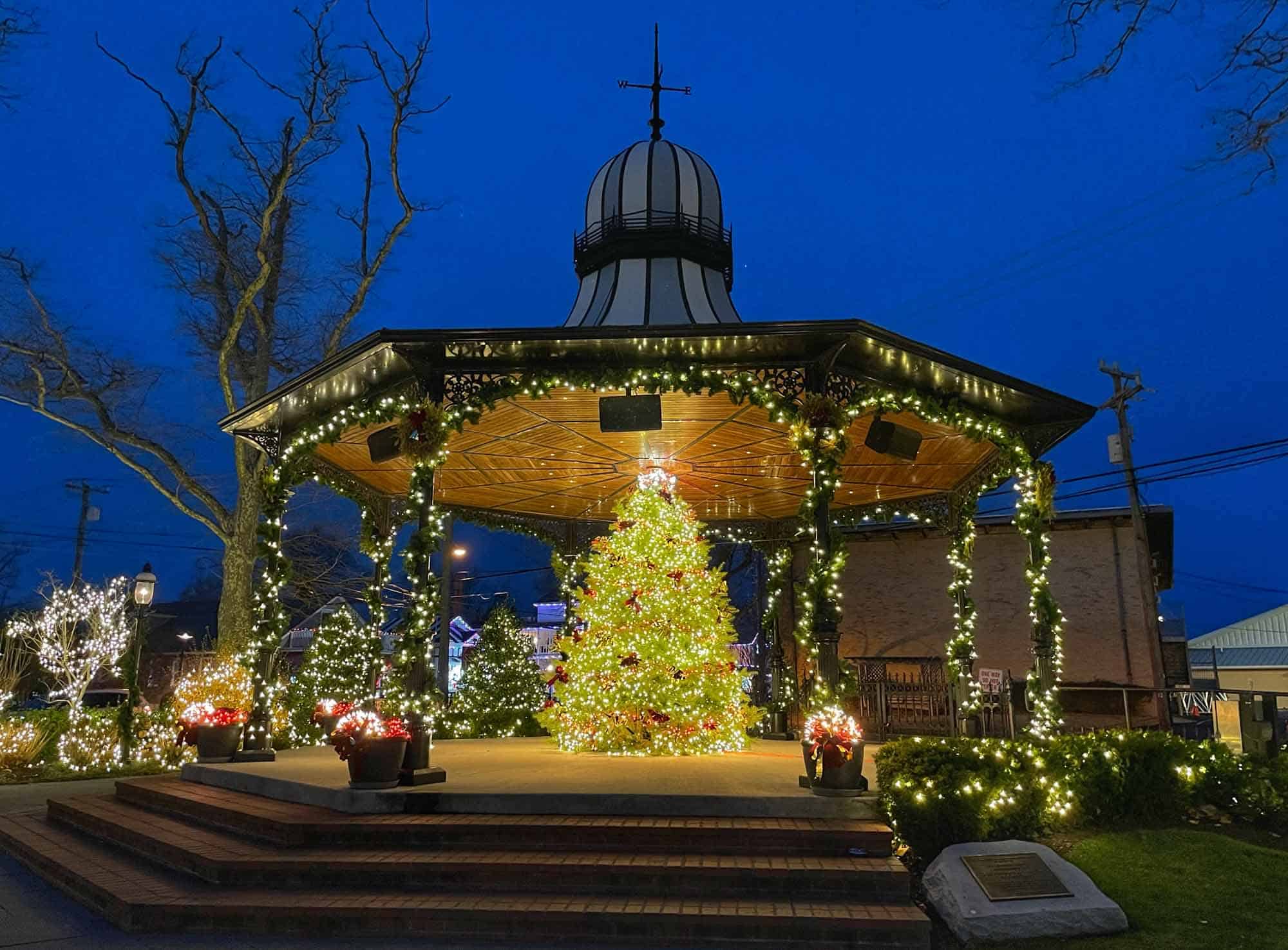 Illuminated Christmas tree under a park bandshell.