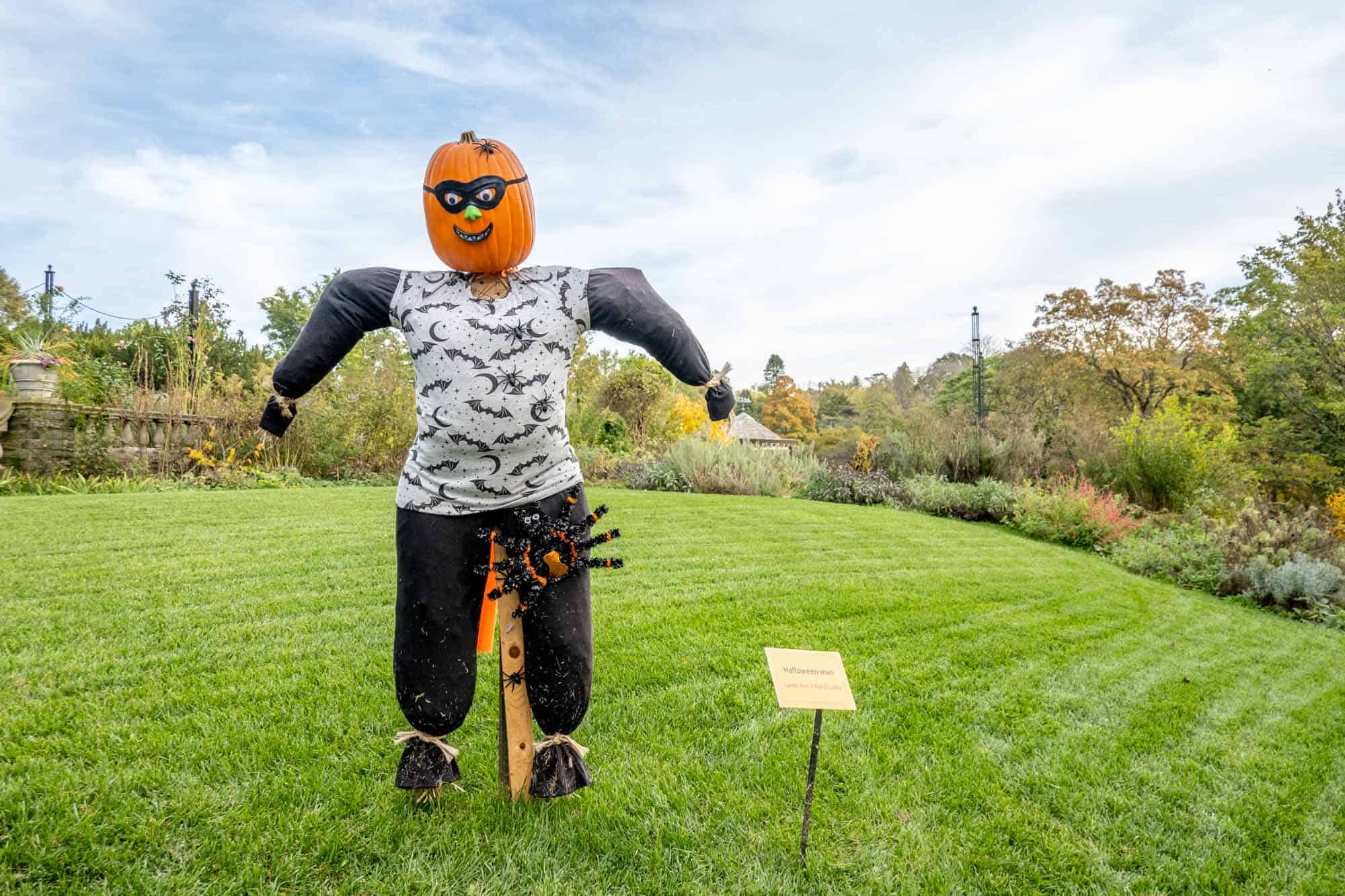 Scarecrow with a pumpkin head