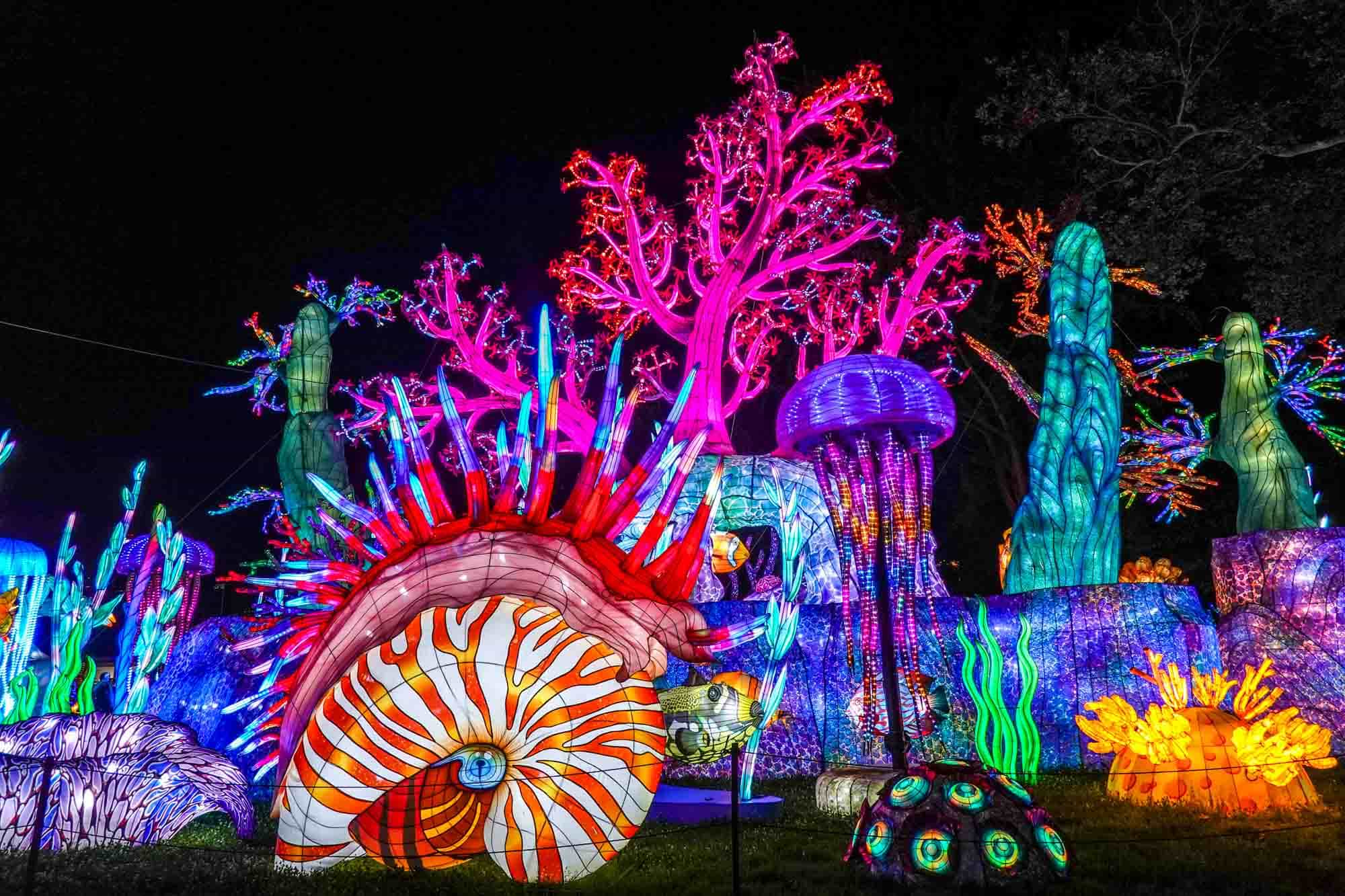 Illuminated seascape scene, including coral and jellyfish.