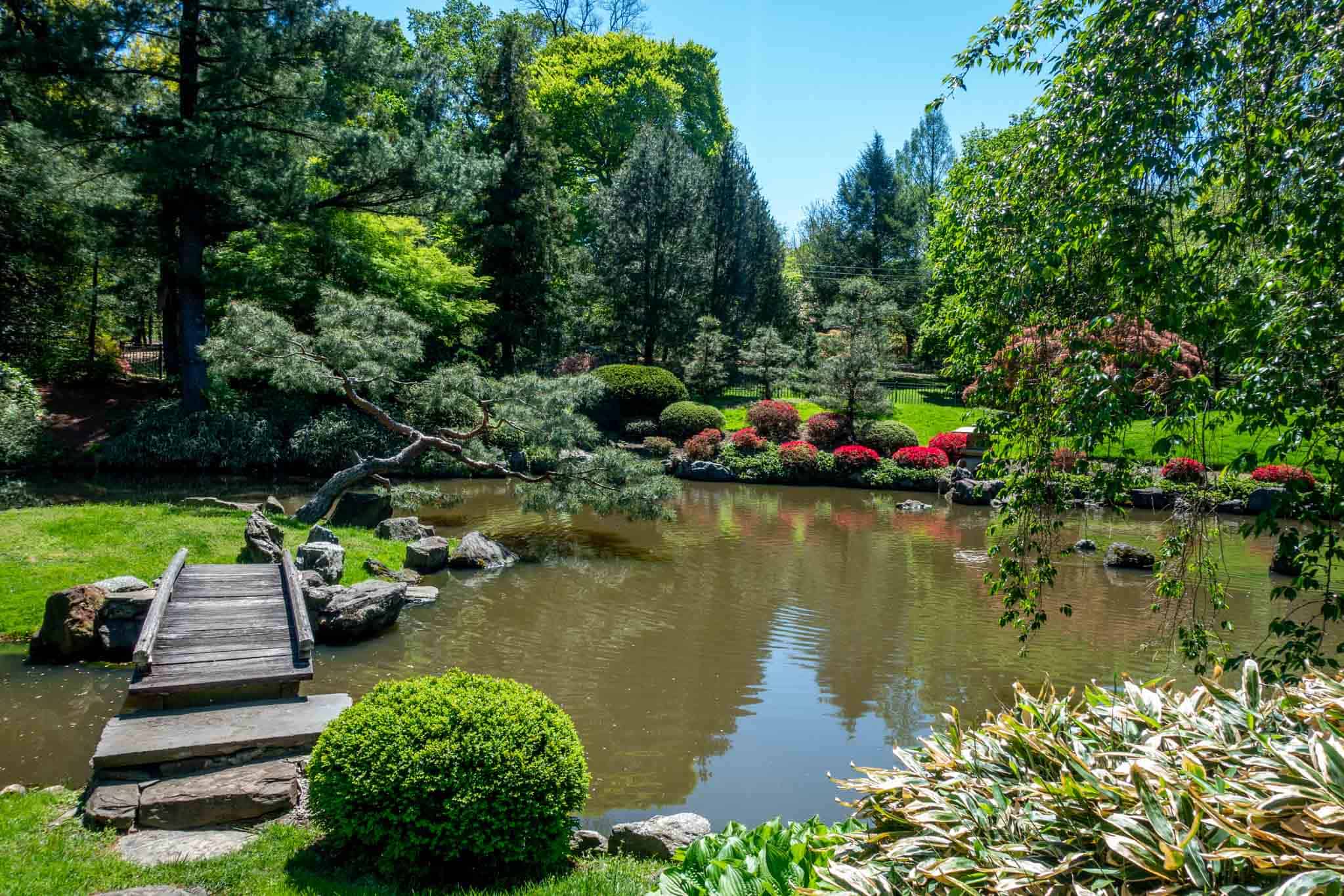 Bridge across a pond surrounded by trees and plants. 