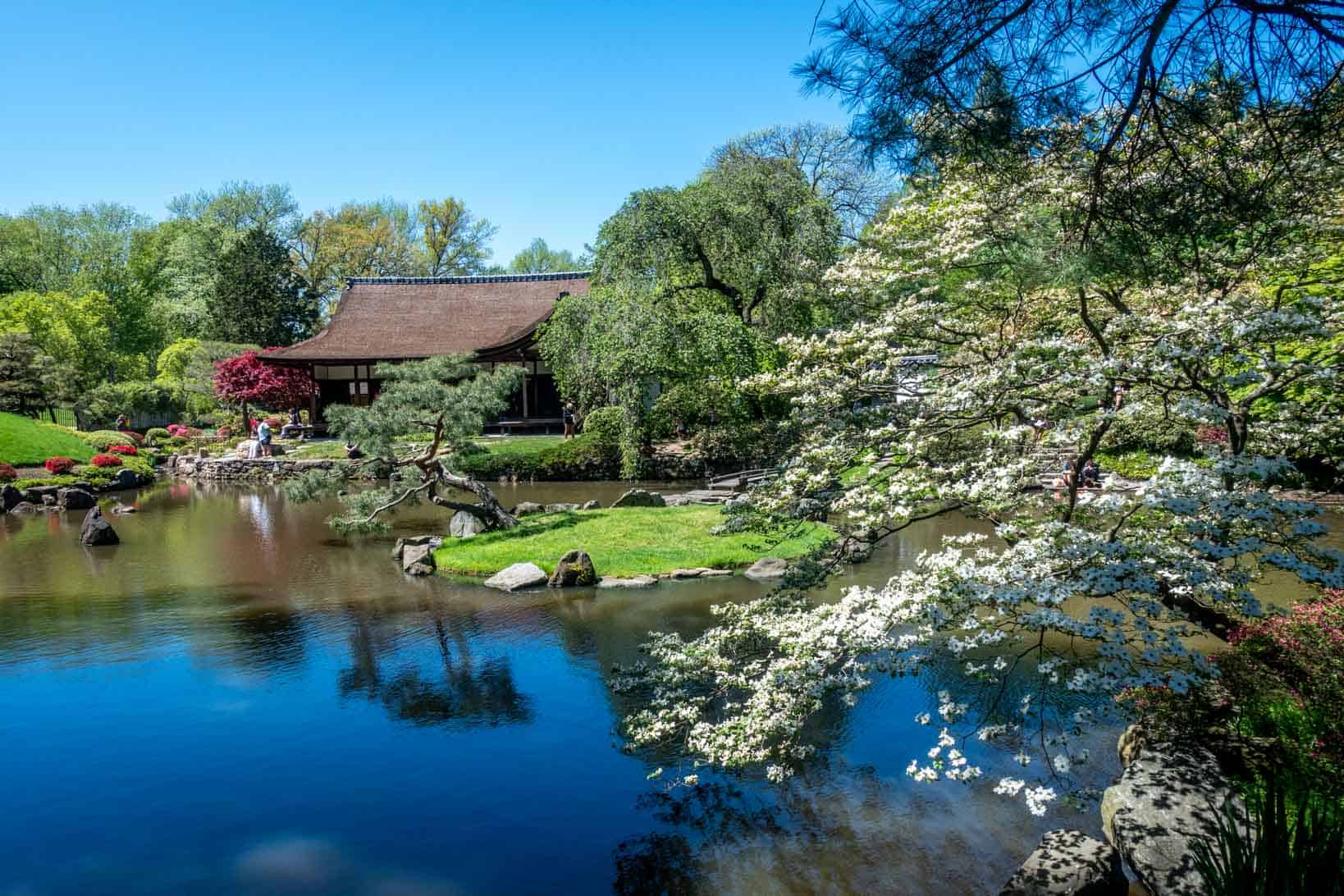 Shofuso Japanese house beside a pond surrounded by a garden