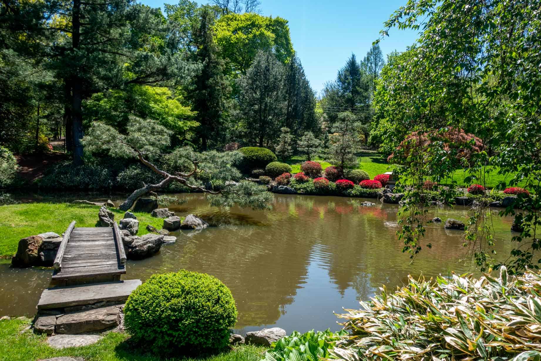 Bridge over a koi pond surrounded by trees