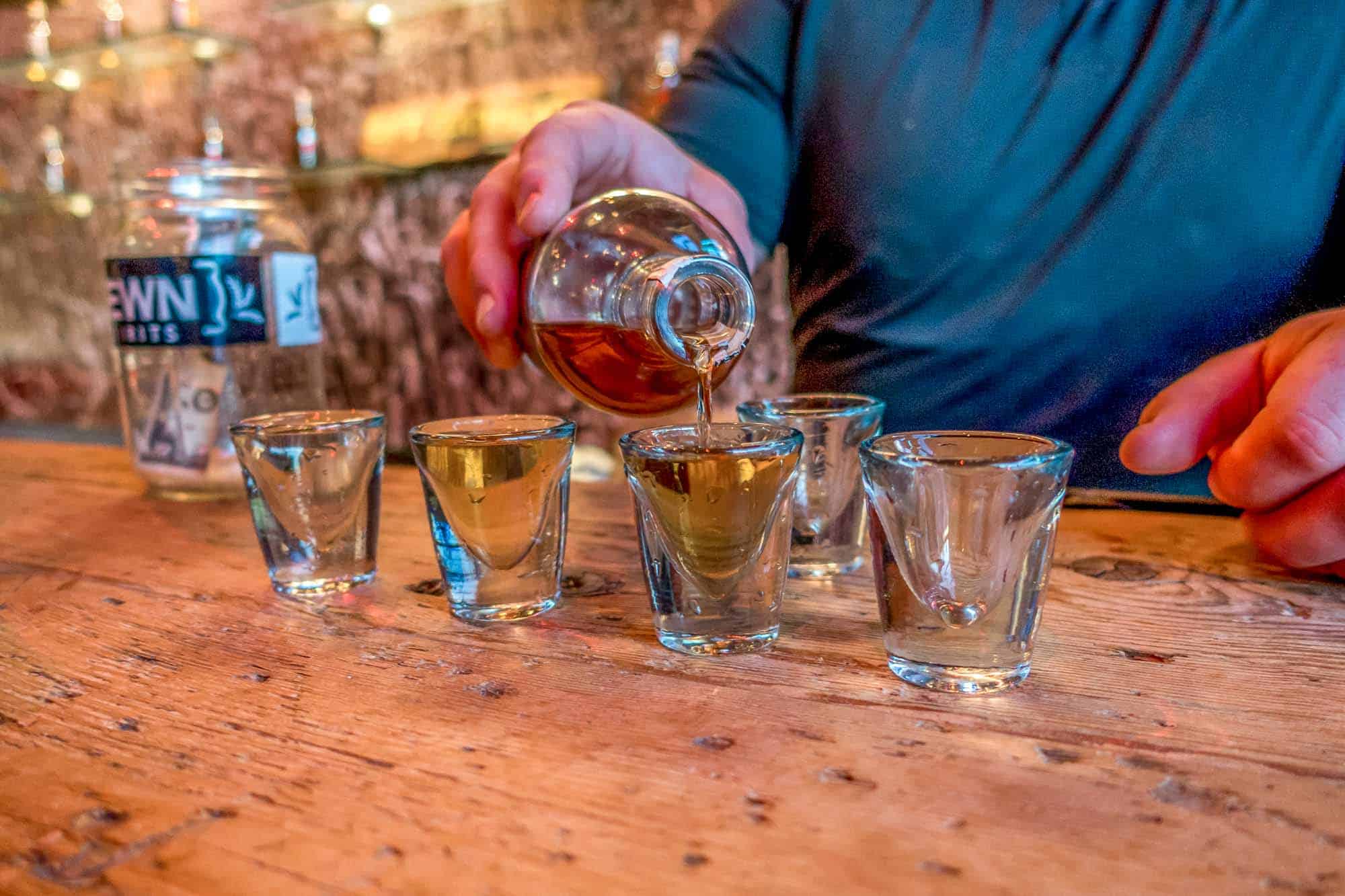 Person pouring shot glasses full of liquor