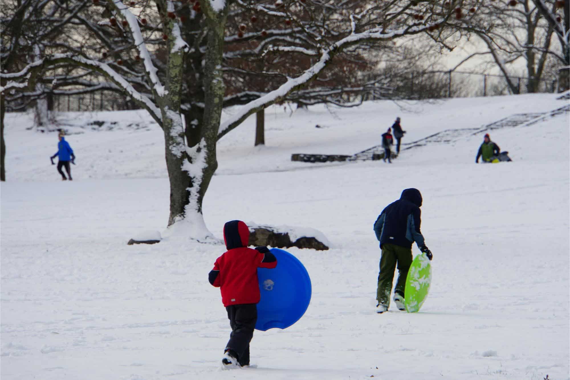 Kids with sleds in a snowy park