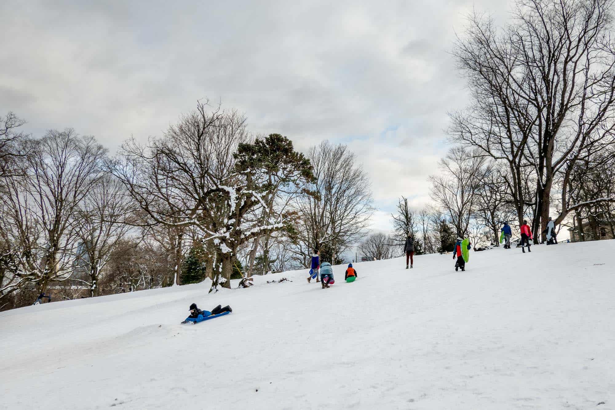 People sledding on a hill in the snow