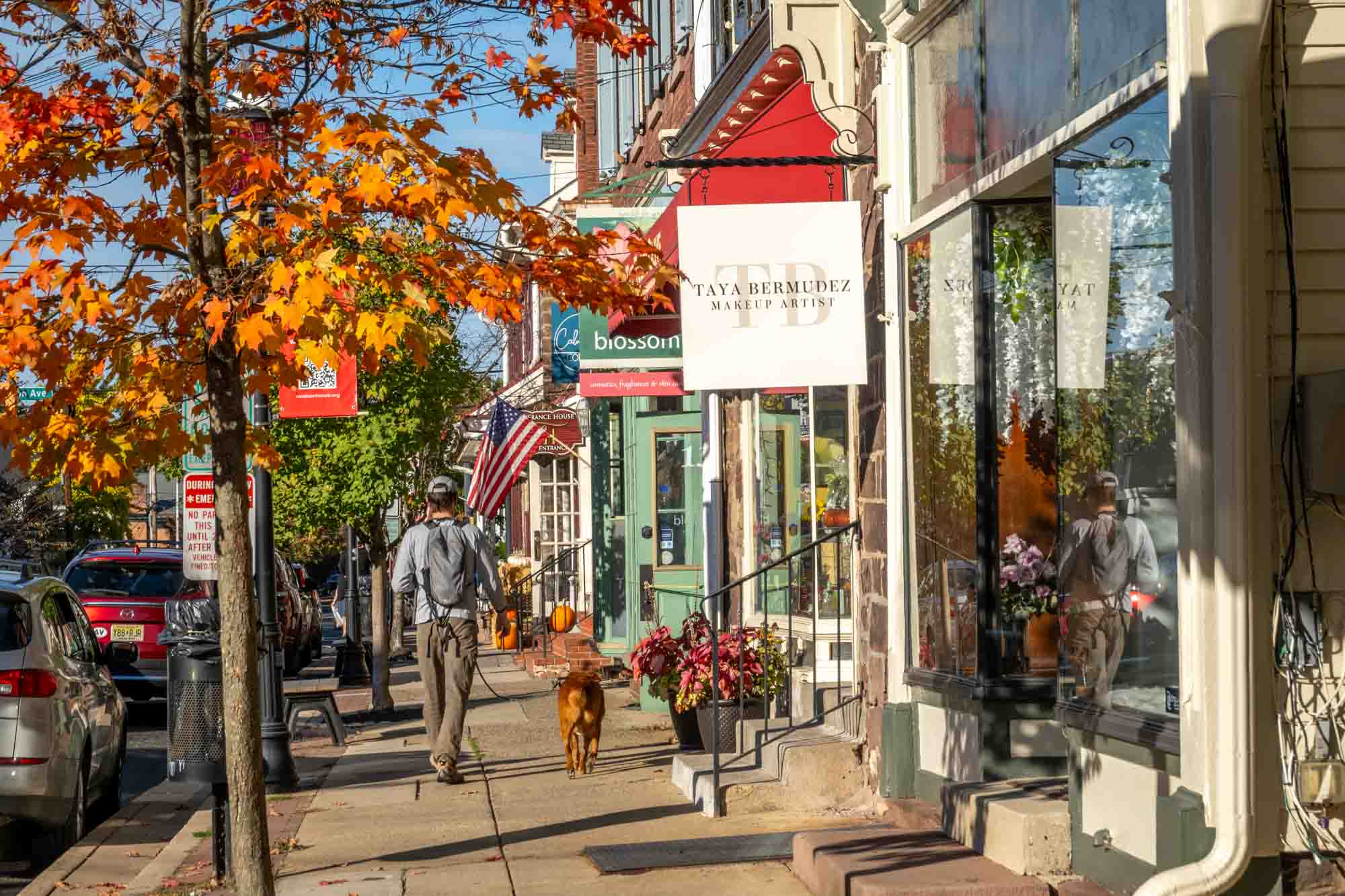 Man and dog walking down a street lined with shops.