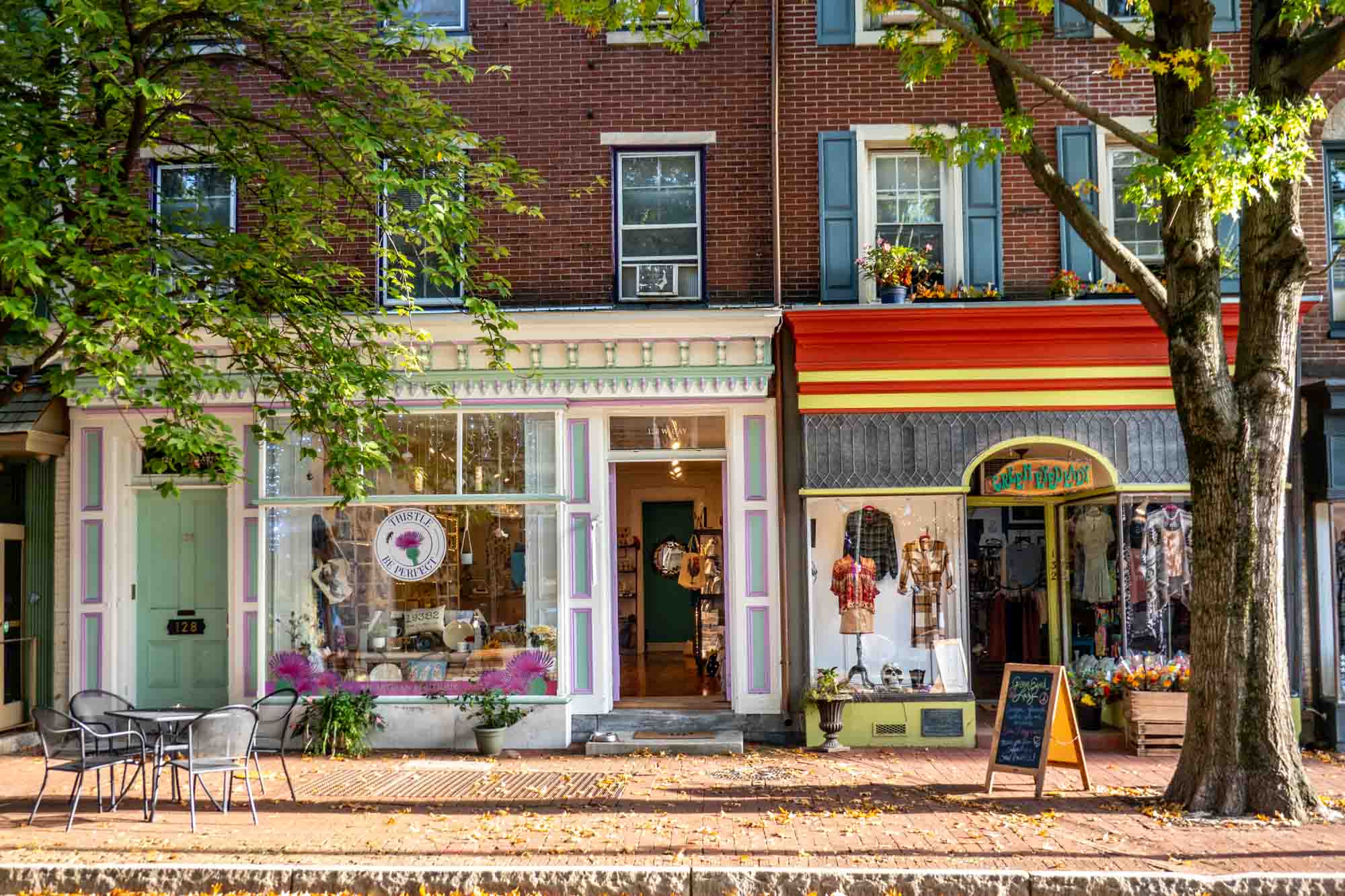 Two colorful storefronts on a tree-lined street.