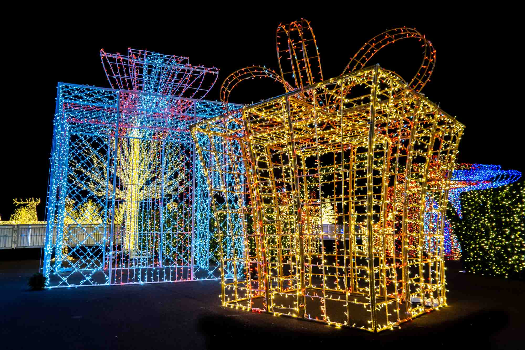 Giant presents decorated with Christmas lights.