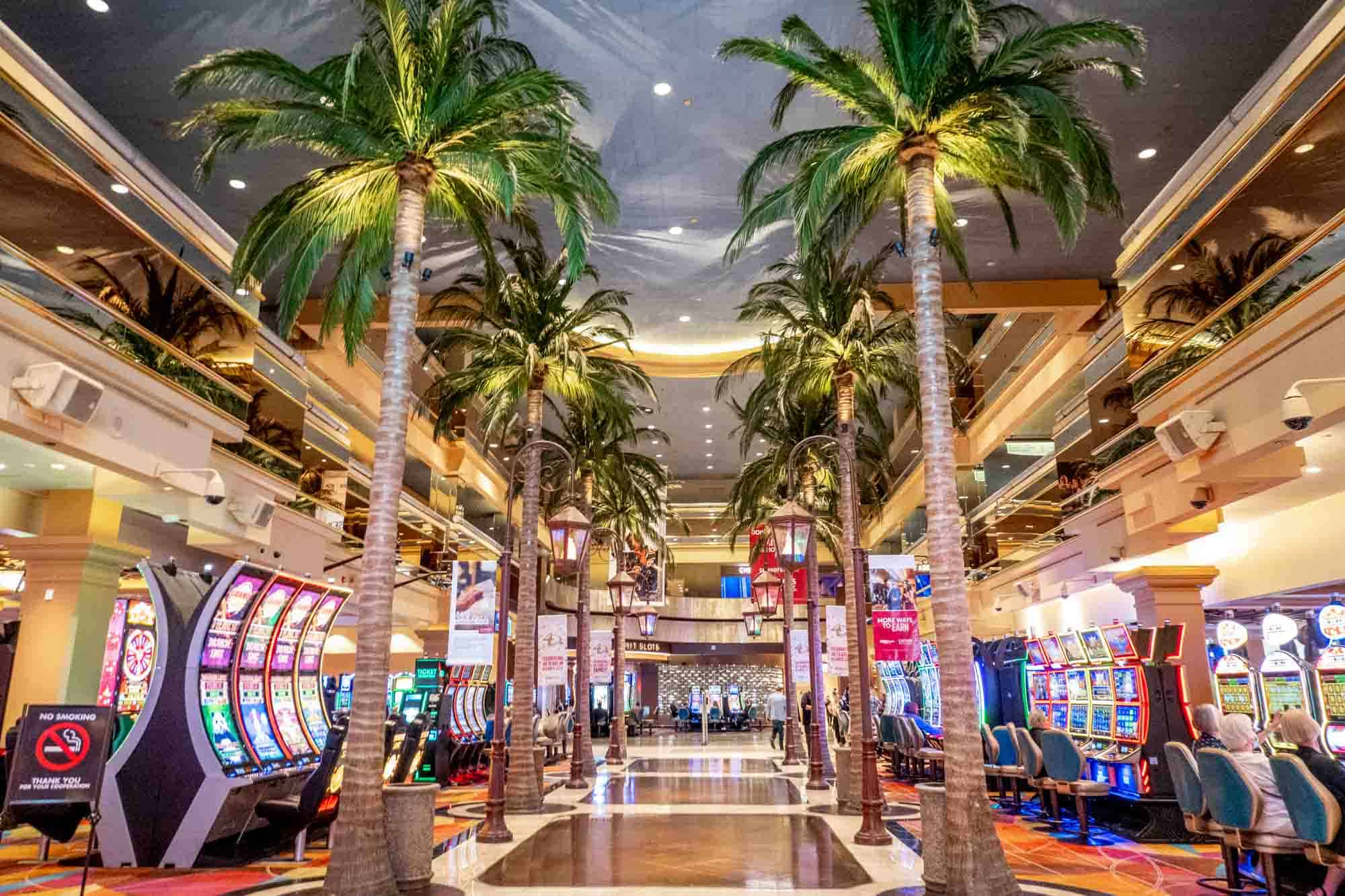 Two rows of palm trees inside Tropicana casino beside rows of video slot machines
