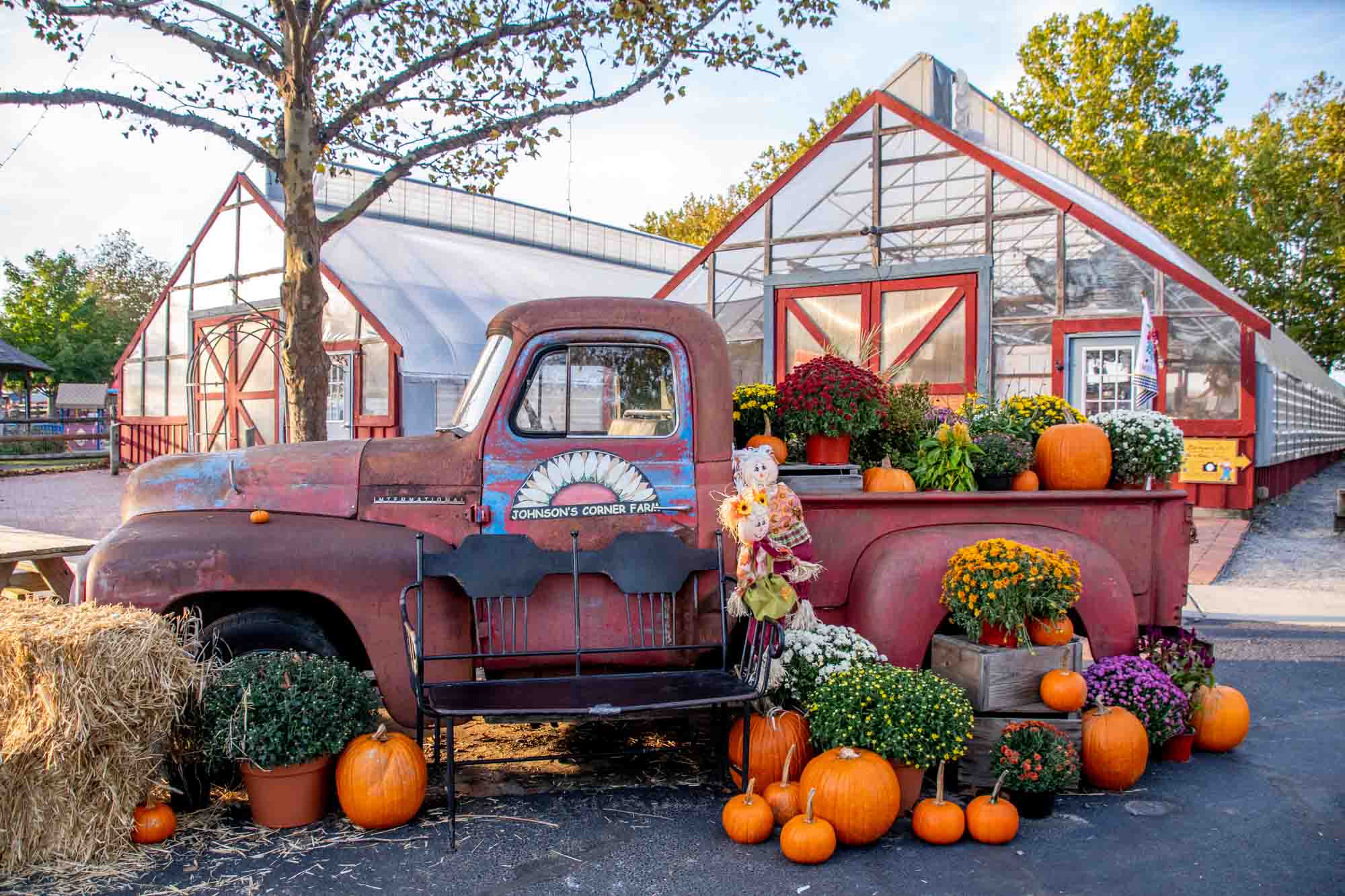 Pumpkins, mums, and hay bales displayed on an old red pickup truck with a sign for "Johnson's Corner Farm"