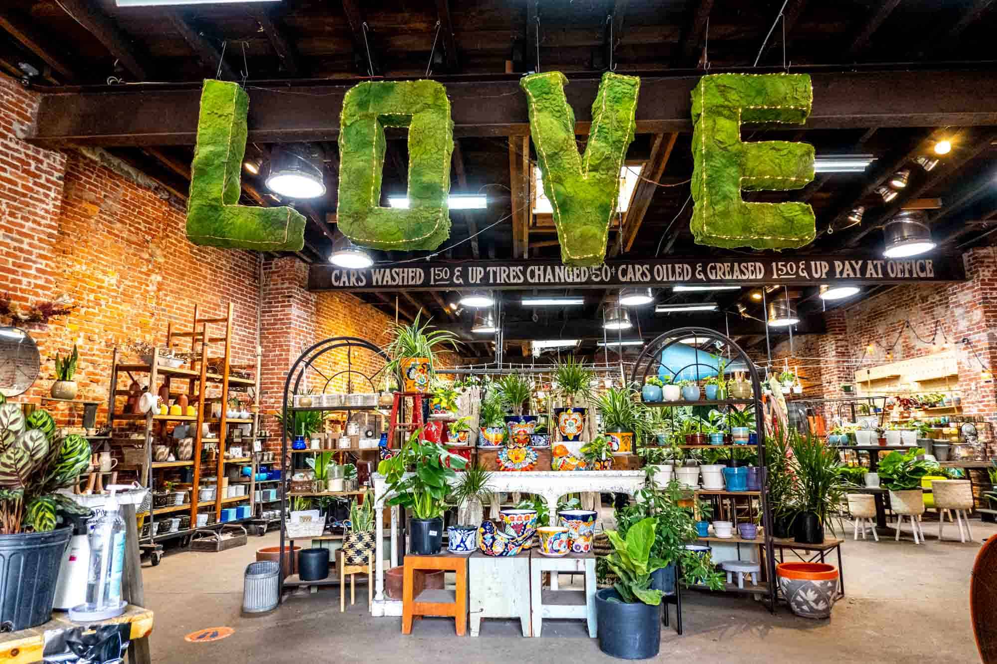 Store with lots of plants on display and green letters spelling "LOVE" hanging from the ceiling