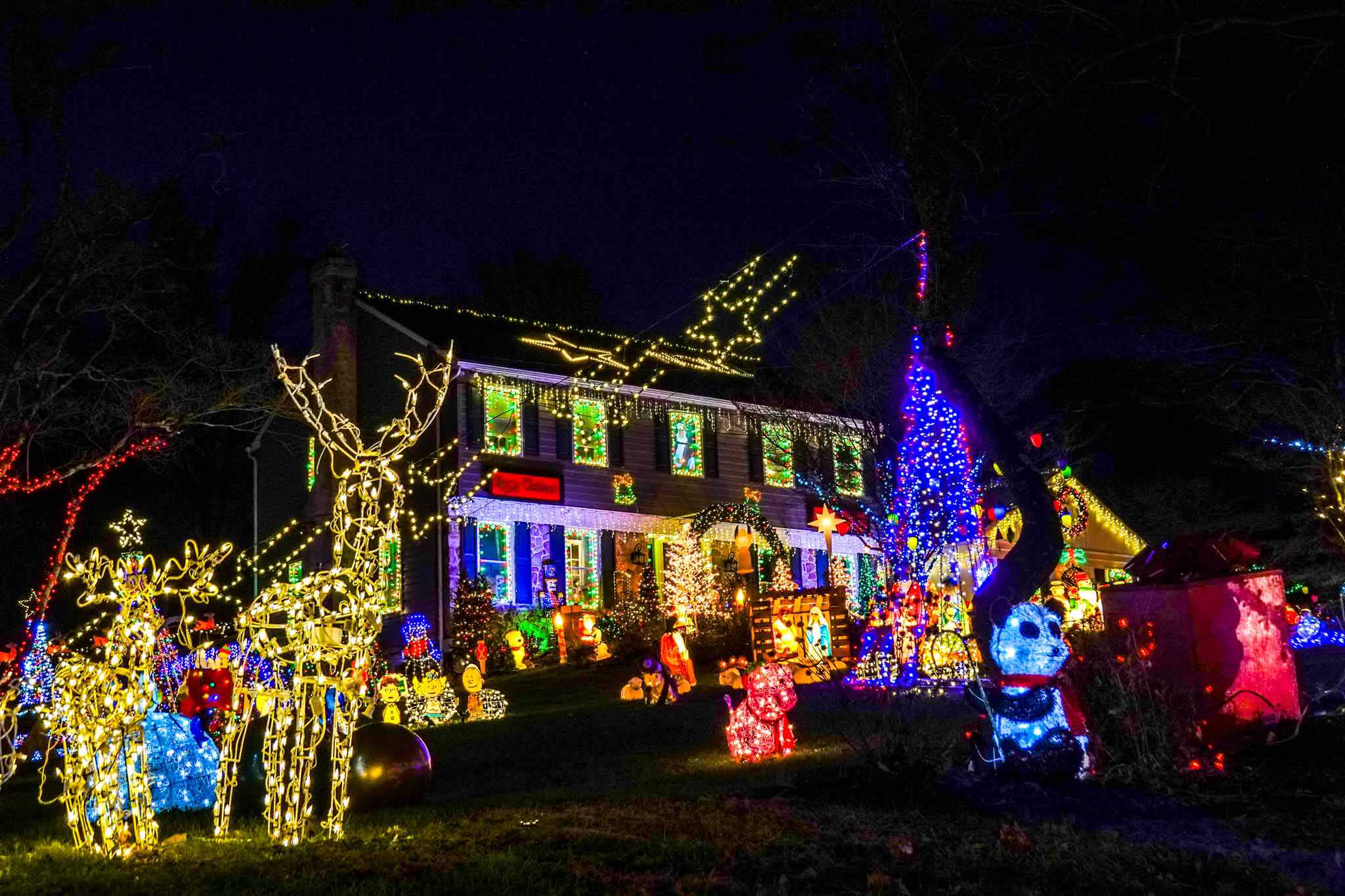 House and yard covered in figurines and lights.