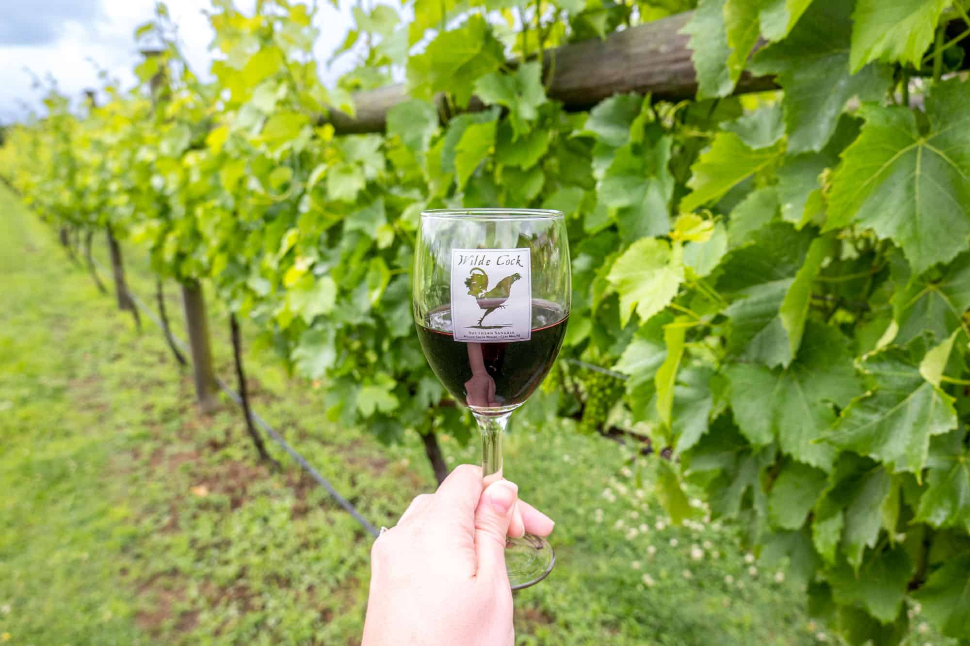 Glass of red wine imprinted with a chicken logo held in front of a grapevine.