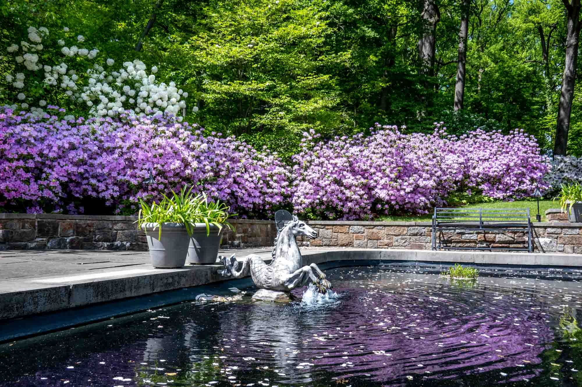 Horse sculpture beside a pool surrounded by a purple flowering plant.